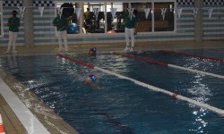 DSC_0795
