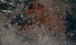 DSCF9583
